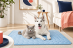 Cooling Pet Mat- Instant Comfort for Hot Summer Days